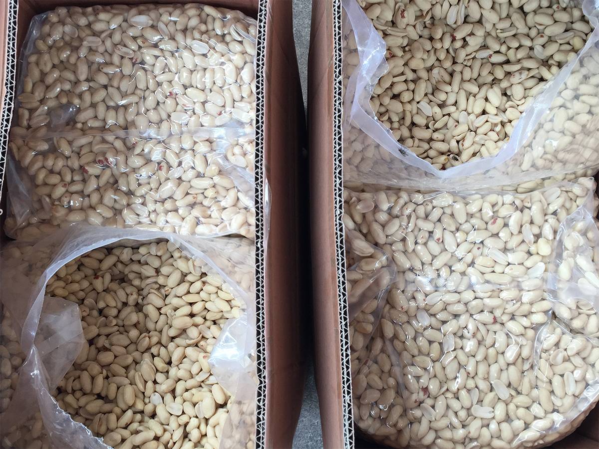 Blanched Peanut Kernels